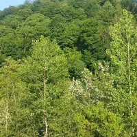 فروش زمین مسکونی