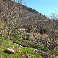 ۳۱۶ متر زمین