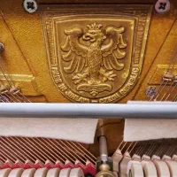 پیانو آکوستیک بوهمیا خوش صدا|پیانو، کیبورد، آکاردئون|تبریز, |دیوار