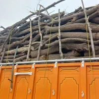 خرید انواع چوب