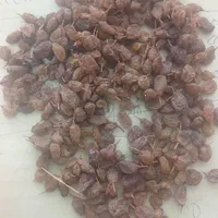 کشمش ملایر|عمده‌فروشی|ری, ملک‌آباد|دیوار