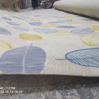 موکت عرض چهار|موکت|گرگان, |دیوار