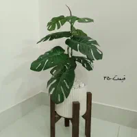 گل مصنوعی|گل مصنوعی|مشهد, رستگار|دیوار