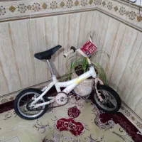 دوچرخه ۱۲ سالم