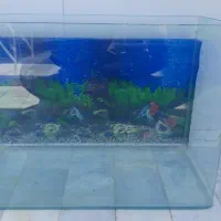 آکواریوم شیشه خم