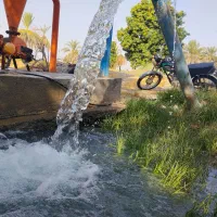 نیم هکتار زمین کشاورزی  ۸۰۰م تومن
