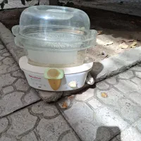 بخار پز