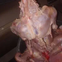 ران مرغ پاک شده