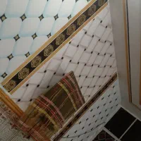 رنگ آمیزی ساختمان|خدمات پیشه و مهارت|شوشتر, |دیوار