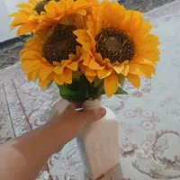 اسباب ووسیله منزل