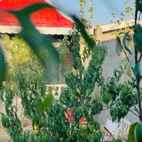 باغ‌ویلاباسندملکی6دانگ آب برق مجتمع ویلایی نگهبان|فروش خانه و ویلا|مشهد, درزآب|دیوار
