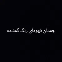 چمدان قهو ه ای رنگ گمشده