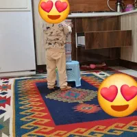 گلیم فرش۶متری