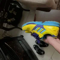 کتونی آورا|کیف، کفش، کمربند|شهریار, شهریار|دیوار