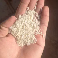 برنج دمسیاه|خوردنی و آشامیدنی|فاضل آباد, |دیوار