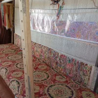 فرش نیمه کاره|فرش|اسکو, |دیوار