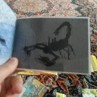 دفترچه بازی سه بعدی متحرک