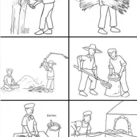 کارگر ساده آقا یا خانم ...