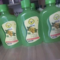 شامپوزیتون گیاهی