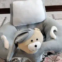 کالسکه و کریر|کالسکه و لوازم جانبی|کرمان, |دیوار