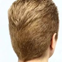 کوتاهی فوق حرفه ای ،هیرکات ماشینی انواع فید تضمینی