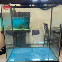 اکوارییوم|ماهی|تهران, اسفندیاری|دیوار