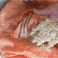 کاه دیمه گندم