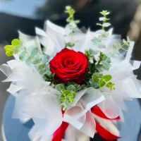 تک شاخه فقط ۳۵۰