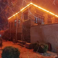 50 متر ریسه انبه ای