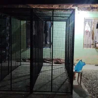 گنجه کفتر|لوازم جانبی حیوانات|رباط‌کریم, الارد|دیوار