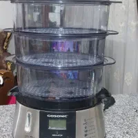 بخارپز گاسونیک