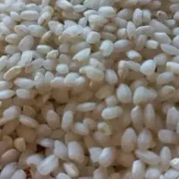 برنج گردی|خوردنی و آشامیدنی|مریوان, |دیوار