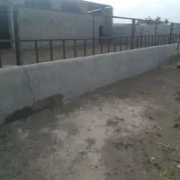 2300متردامداری