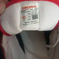 کفش و کتونی|کیف، کفش، کمربند|قم, شهر قائم|دیوار