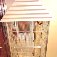 فروش قفس در حدنو طوطی سانان بزرگ