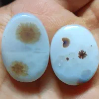 قاصدک ی معدنی