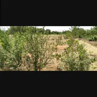 فوری، زمین فروشی به صورت تیکه ای هم ۱۲۰۰متر فروخته|فروش دفتر صنعتی، کشاورزی، تجاری|ابهر, |دیوار