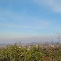 زمین-کشاورزی