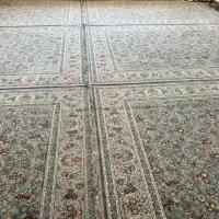 فرش ابریشم اصل اکریلیک صادراتی ۶ متری|فرش|بانه, |دیوار