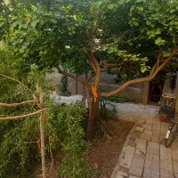 منزل ویلایی 240 متری با مغازه تجاری|فروش زمین و ملک کلنگی|اصفهان, خلجا|دیوار