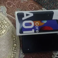 a01