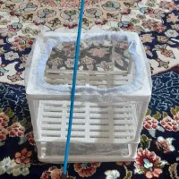 تور و زایشگاه ماهی