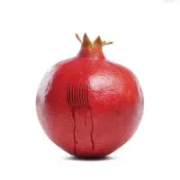 حجامت و بادکش تخصصی در محل شما