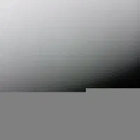 یک سمنددزدیده شده