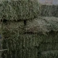 پرس یونجه 50 تا