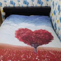 سرویس خواب دونفره MDF|تخت و سرویس خواب|اهواز, گلستان|دیوار