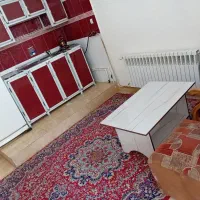اجاره روزانه/هفتگی/ماهانه آپارتمانی(۲۴ساعته)