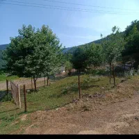 ۲۱۴متر زمین ییلاقی چهار فصل جای عالی ییلاق انل|فروش زمین و ملک کلنگی|رضوانشهر, |دیوار