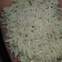 برنج صدری حسن سرایی