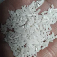 برنج هاشمی درجه یک خوش عطروبو